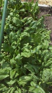 2011-04-18_15-50-00_670